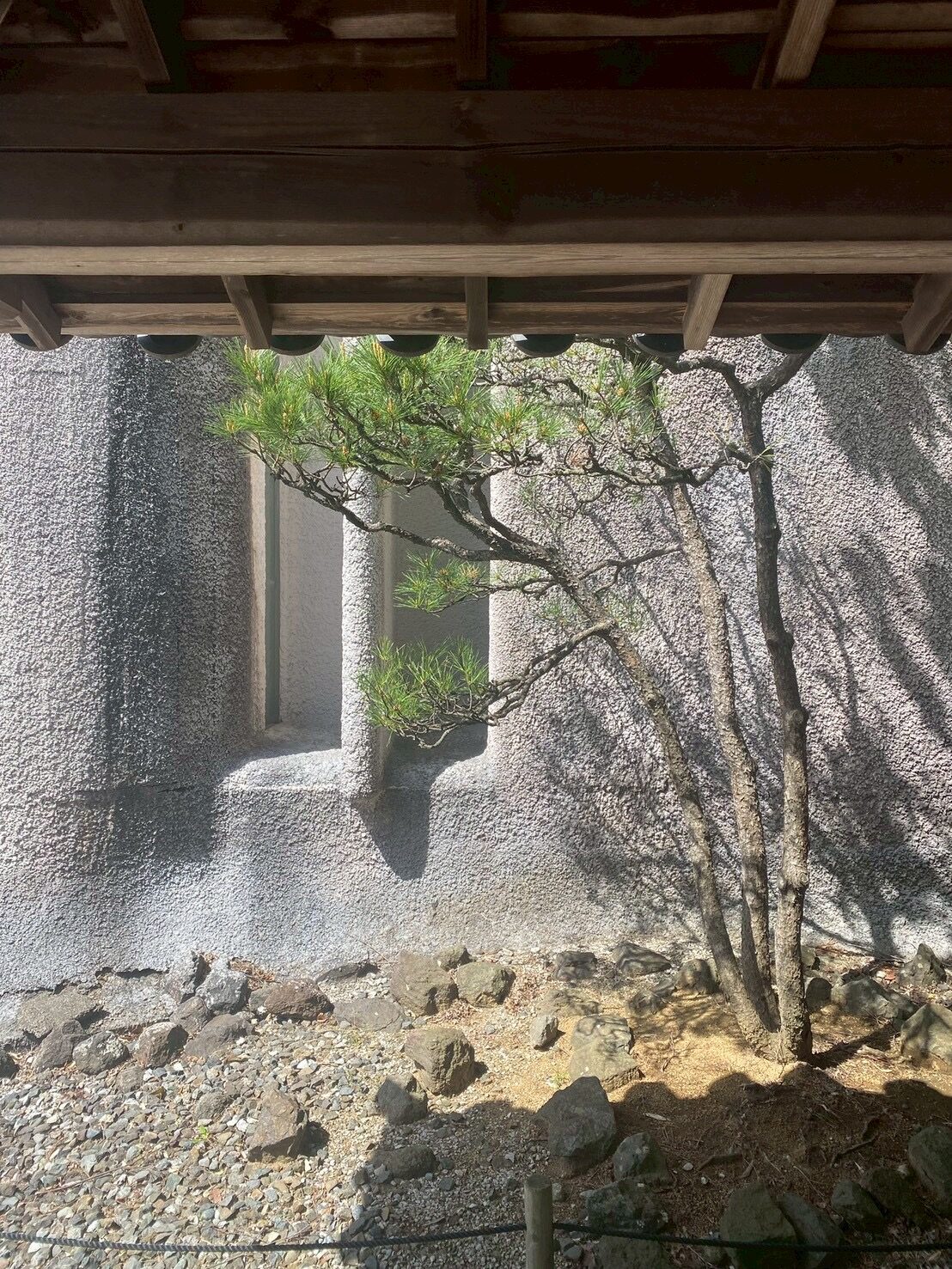 谷村美術館