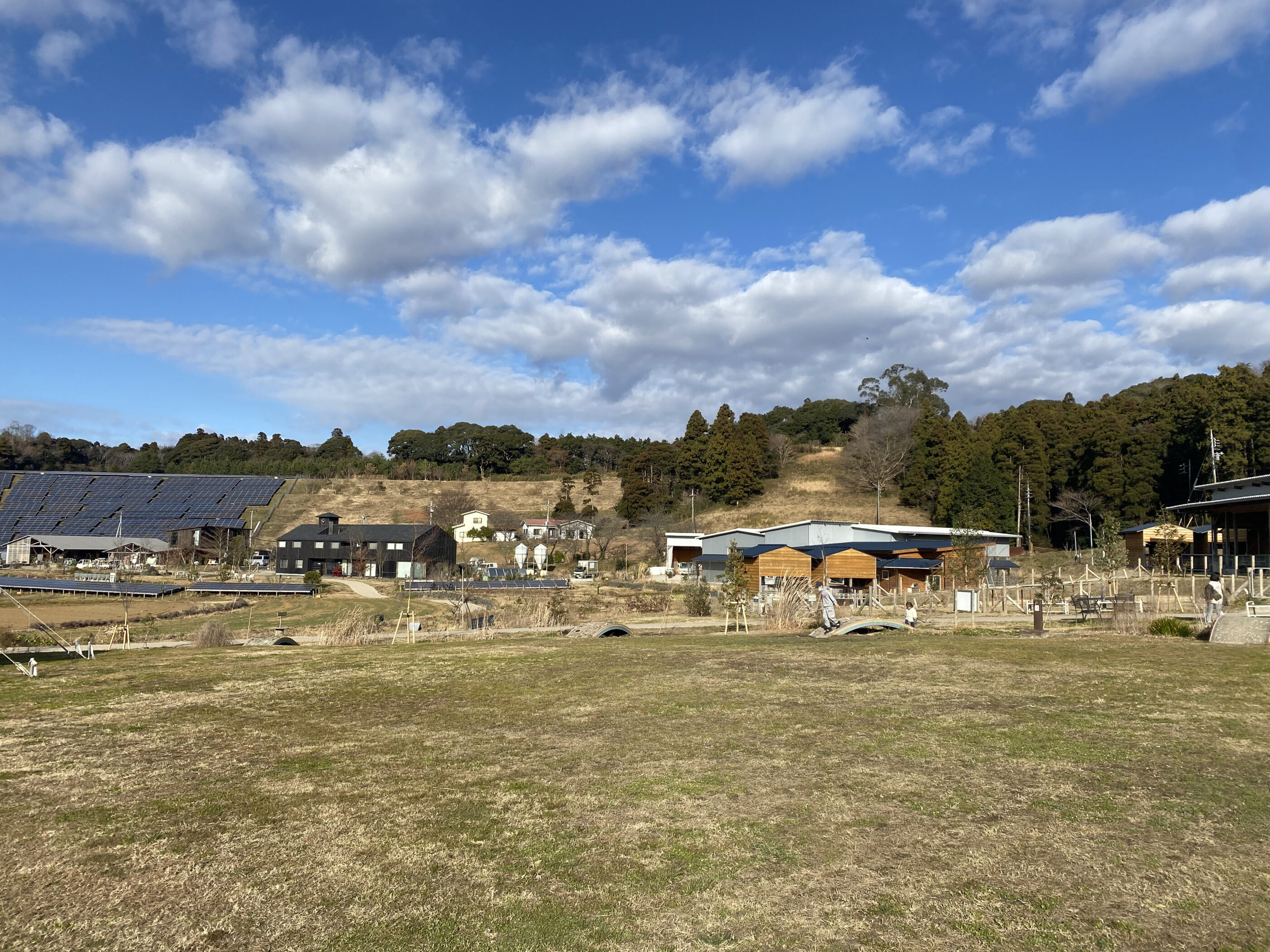 クルックフィールズ