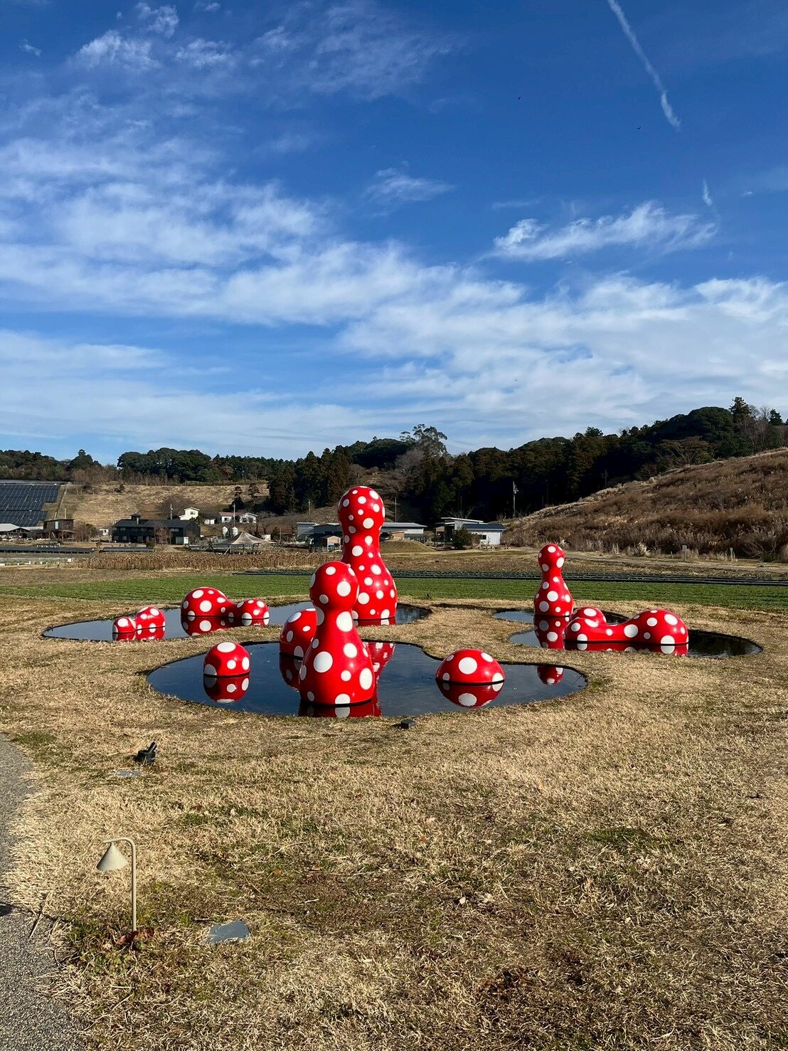 クルックフィールズ