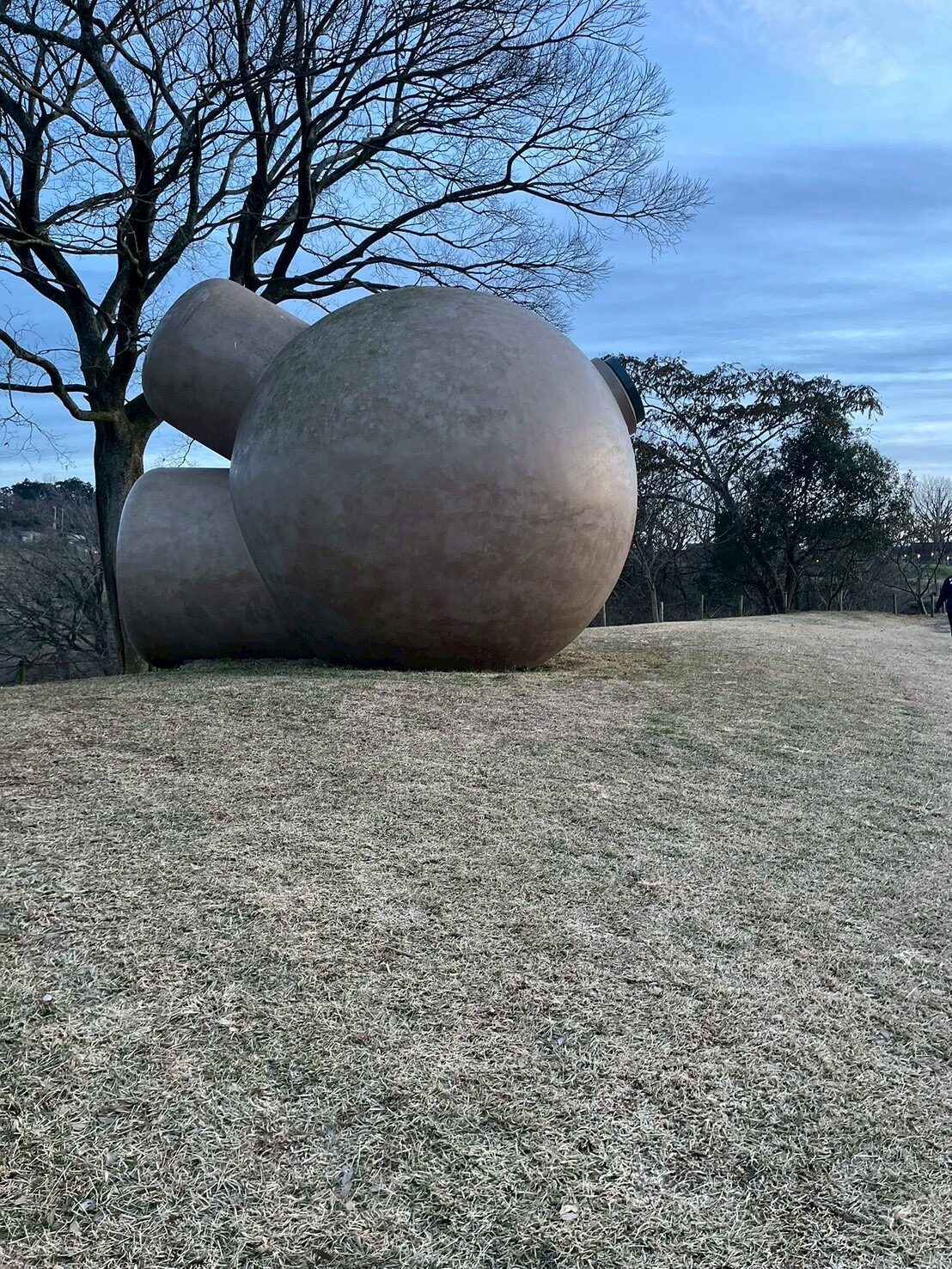 クルックフィールズ