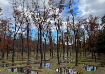 那須　無垢の音「水庭」