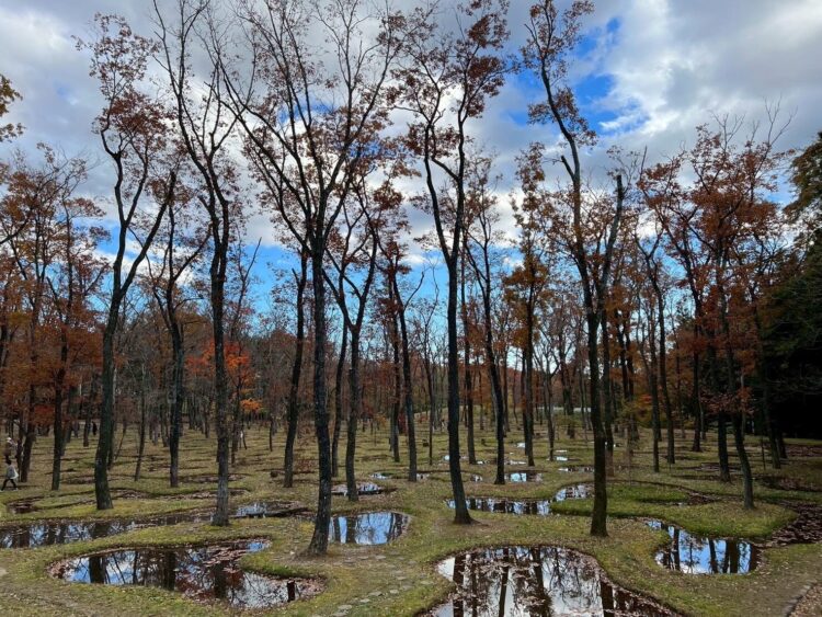 那須　無垢の音「水庭」